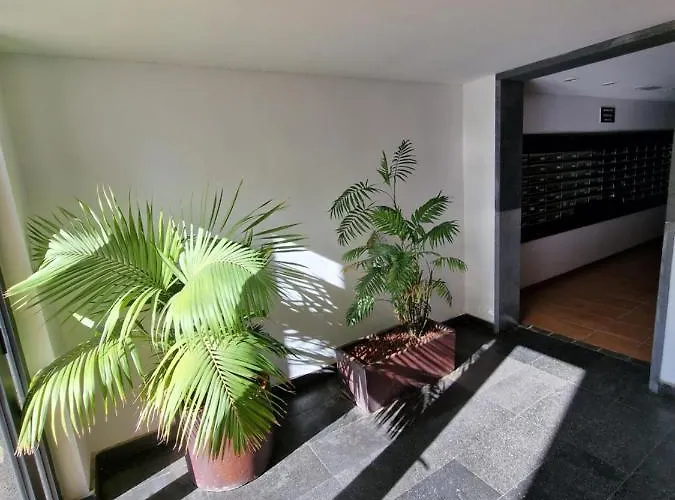 Spacious And Comfortable Paraiso Ii Apartament *